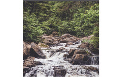 A new round of closed-door consultations in the Outaouais will bring together regional stakeholders to evaluate 47 proposed protected areas, aiming to balance biodiversity conservation with local priorities as part of Quebec’s Plan nature 2030. Photo: Courtesy of Quebec’s Plan nature 2030