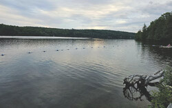 A petition is rallying the Outaouais behind Bill S-229, a Senate bill that would give Gatineau Park its first legal protection by enshrining its boundaries in federal law and making conservation the priority in how the park is managed, before signatures close on October 29. Photo: Tashi Farmilo