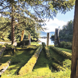 SGang Gwaii village from the forest, Looking out to the ocean. It shows the collapsed longhouses, where their totem poles are still standing, gazing out to sea. We can imagine their splendour when this was a bustling village of some 300 or so people.
Photo: Katharine Fletcher
